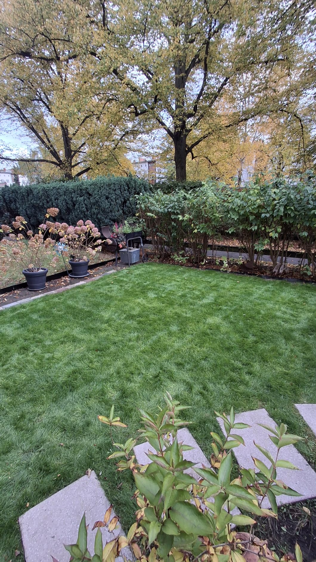 Sattes Grün