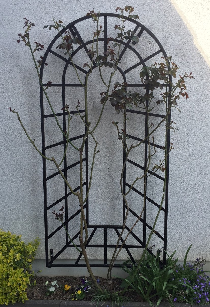 classic-garden-elements-trompe-l-il-rankgitter-wand-schwarz image 8