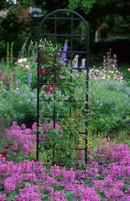 classic-garden-elements-burlington-rankhilfe-metall-schwarz image 4