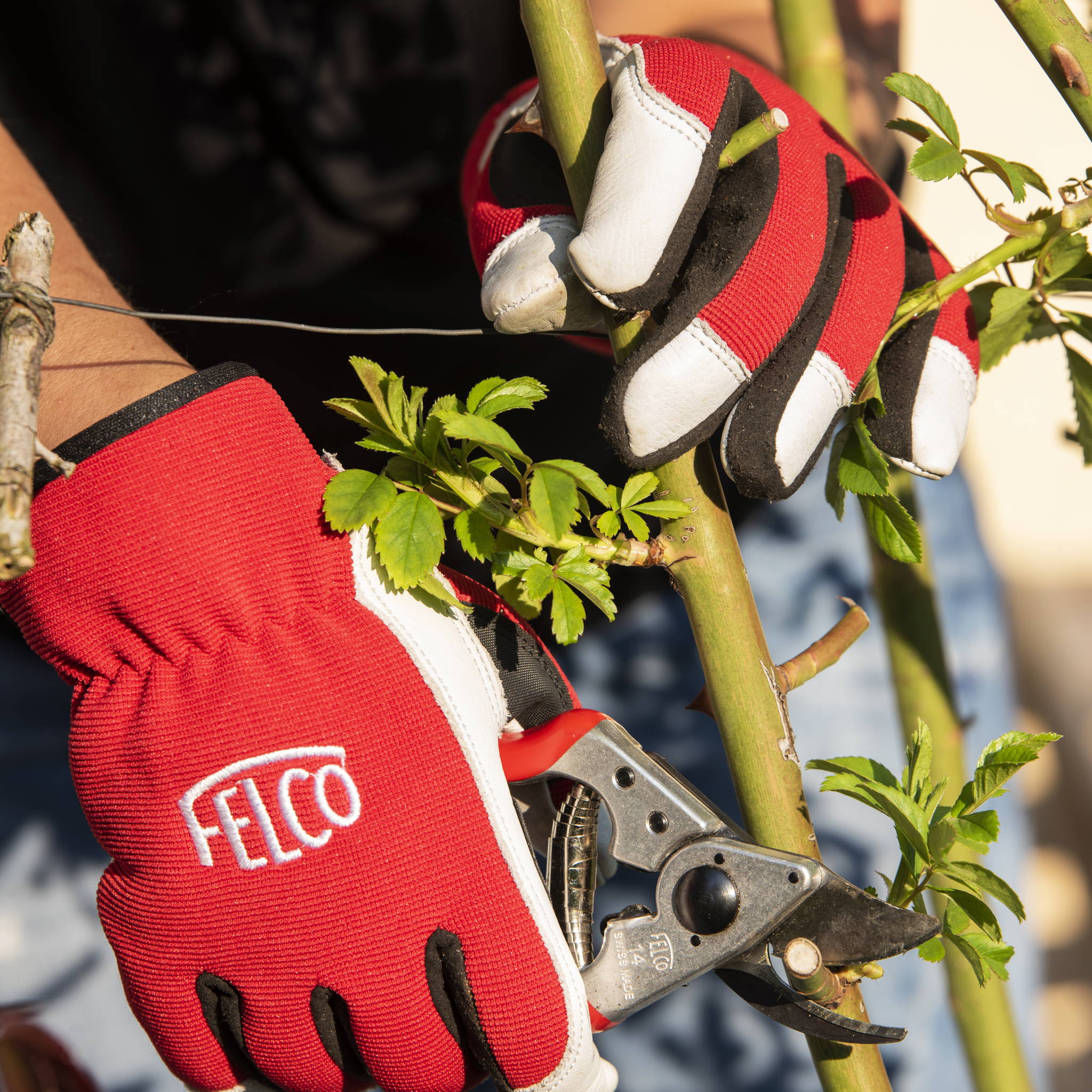 felco-702-gartenhandschuhe-leder-gr-e-m-schnittschutz image 3