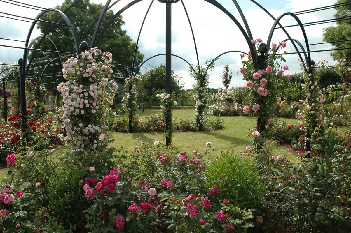 classic-garden-elements-peter-beales-rosenpavillon-metall-schwarz-kuppel image 6