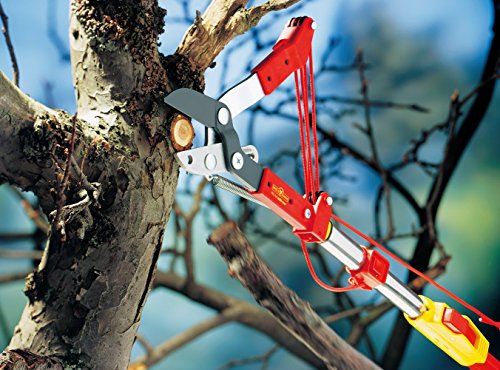 wolf-garten-multi-star-rc-m-amboss-baumschere-38-mm image 6