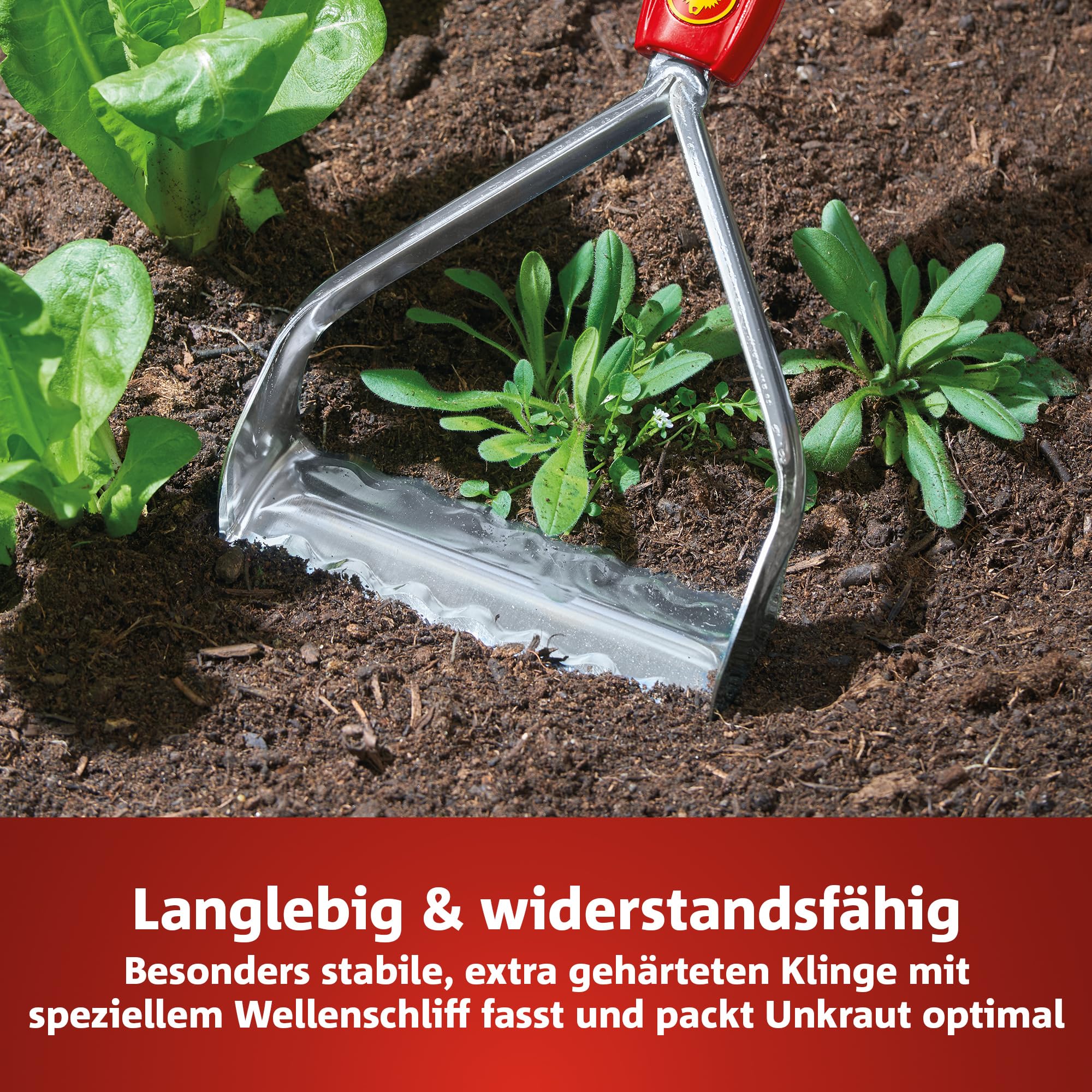 wolf-garten-multi-star-unkrautkuli-rf-m-hacke-15-cm image 3