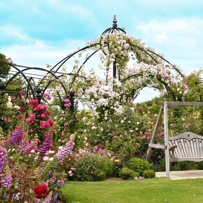 classic-garden-elements-peter-beales-rosenpavillon-metall-schwarz-kuppel image 7