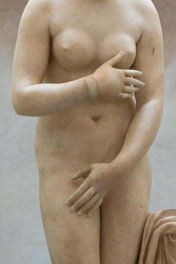 classic-garden-elements-kapitolinische-venus-bronze-statue-garten image 2
