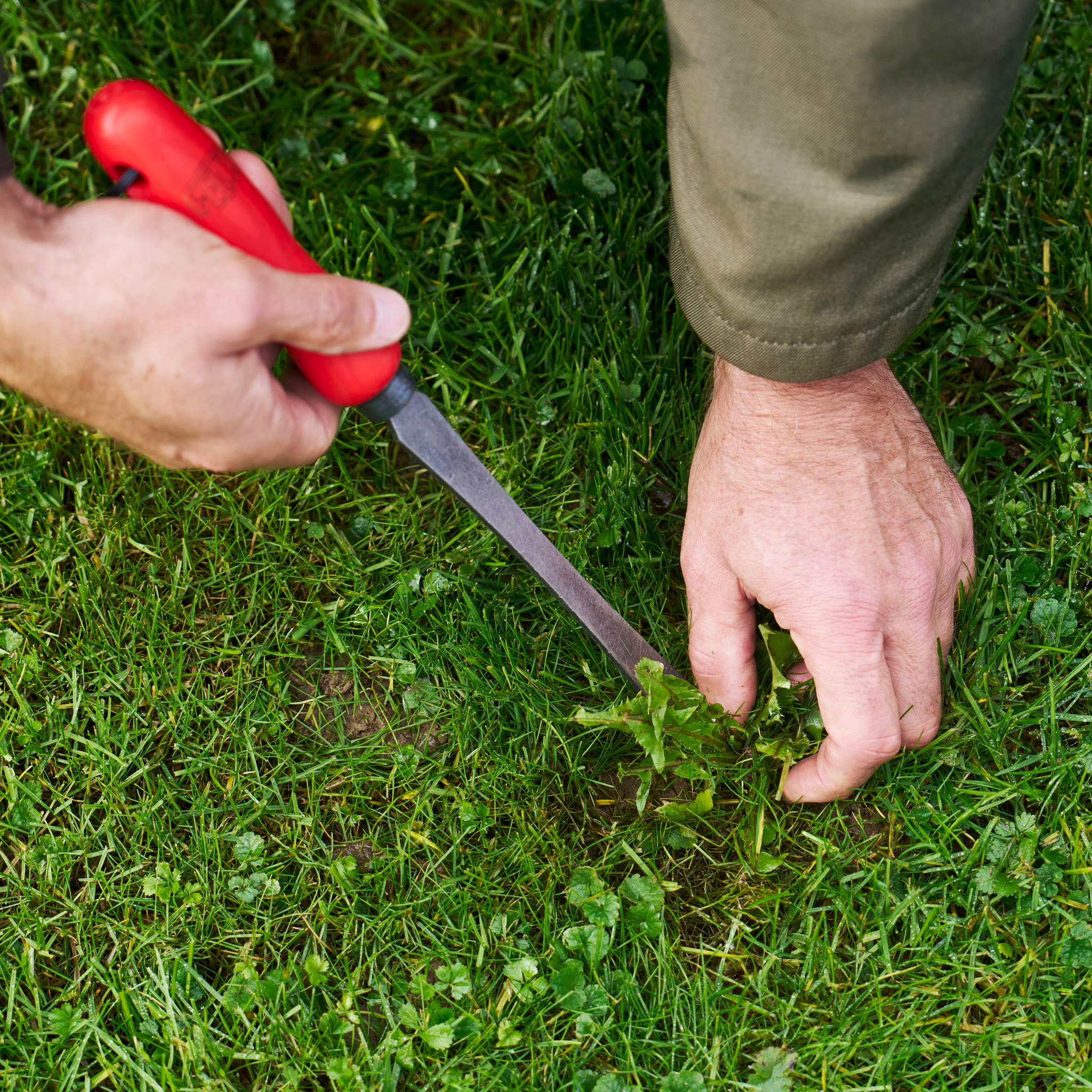 felco-442-gartenbeil-borstahl-eschenholz-handbeil image 3