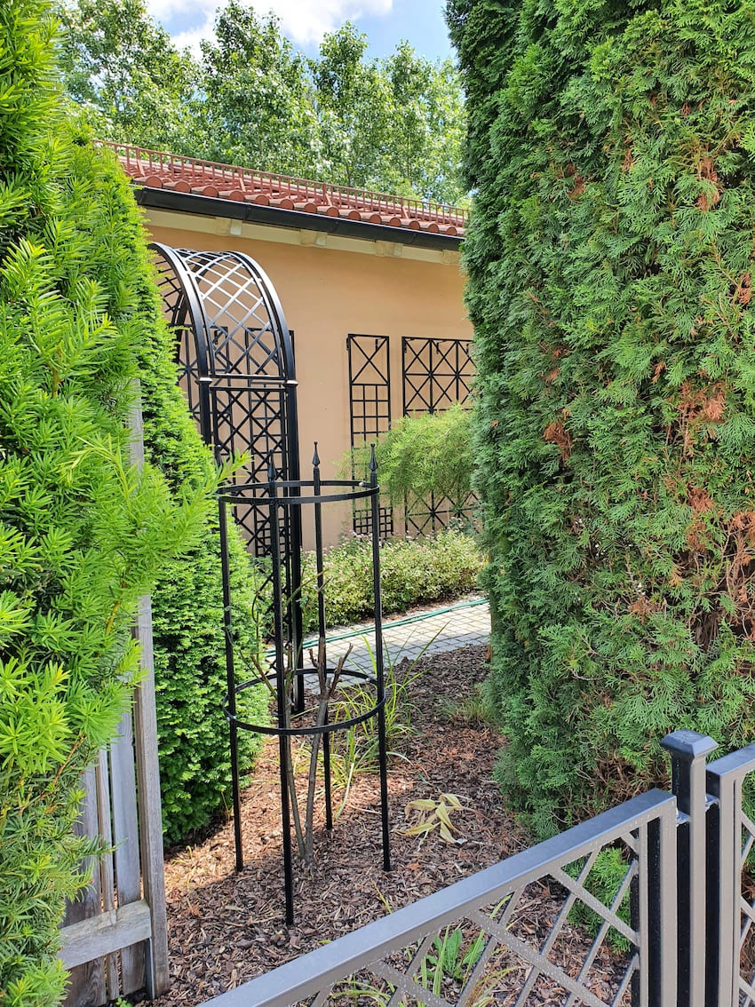 classic-garden-elements-croome-wandrankgitter-metall-44x200-schwarz image 7