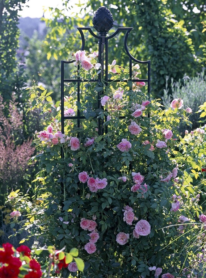 classic-garden-elements-rosenobelisk-ii-rankhilfe-210-cm image 1