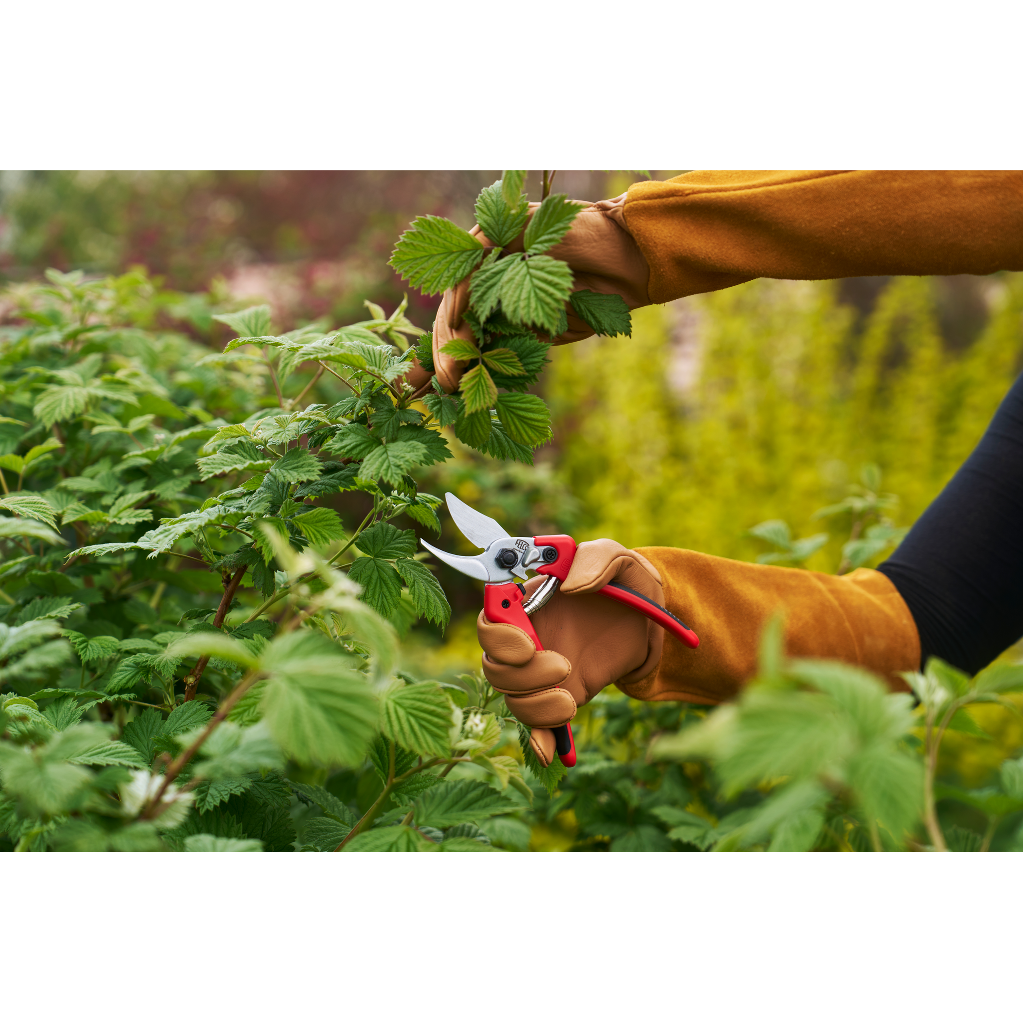 felco-171m-einhand-gartenschere-rechtshand-stahlklinge image 8
