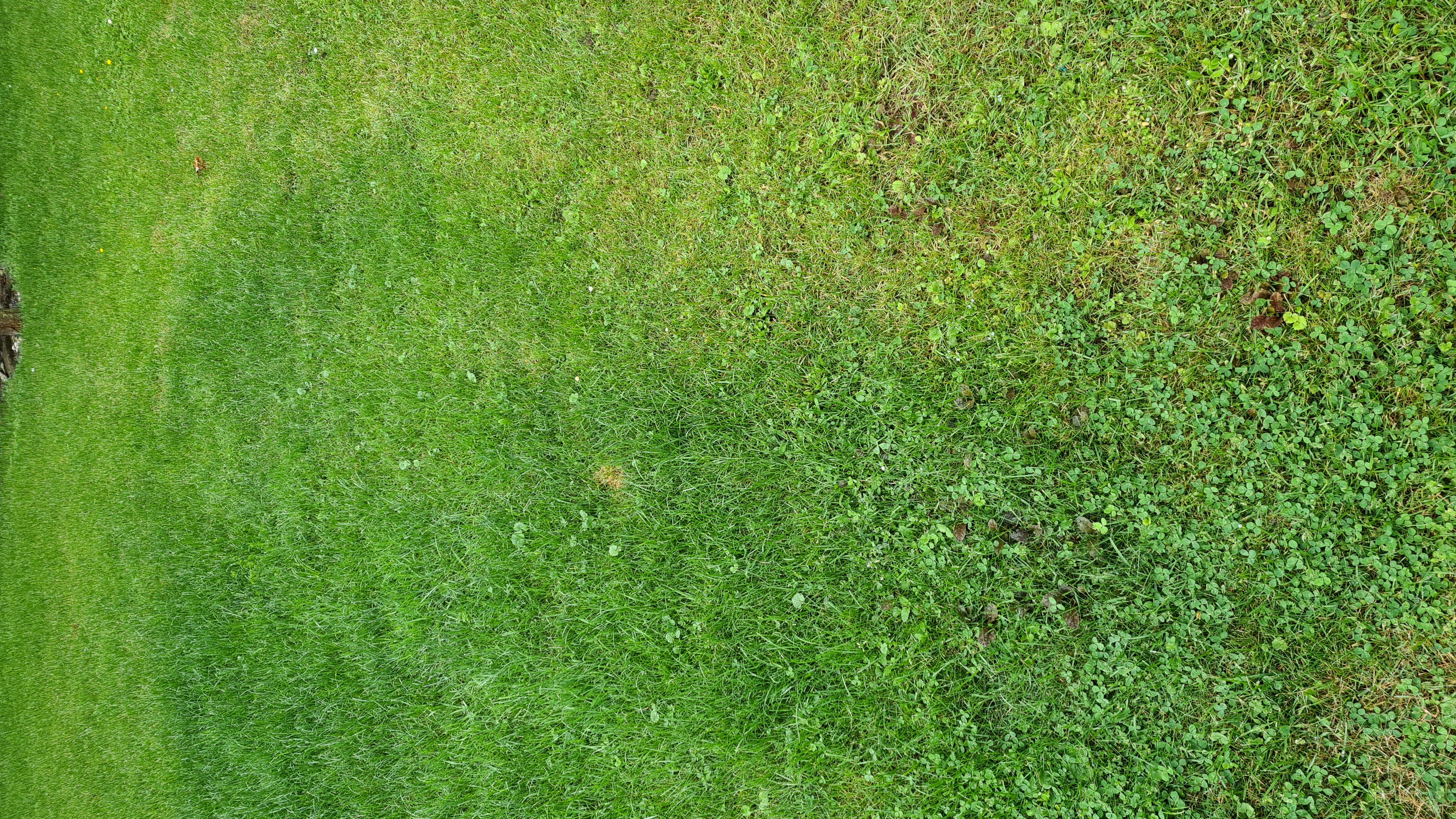 Einfach zu streuen