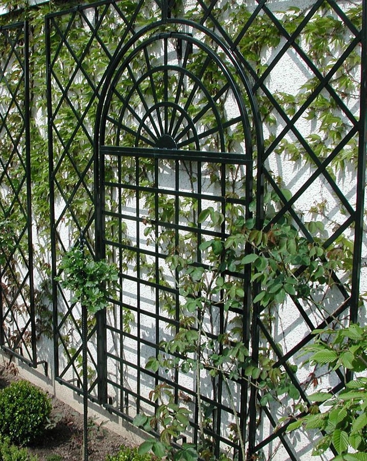 classic-garden-elements-treillage-rankgitter-schwarz image 1