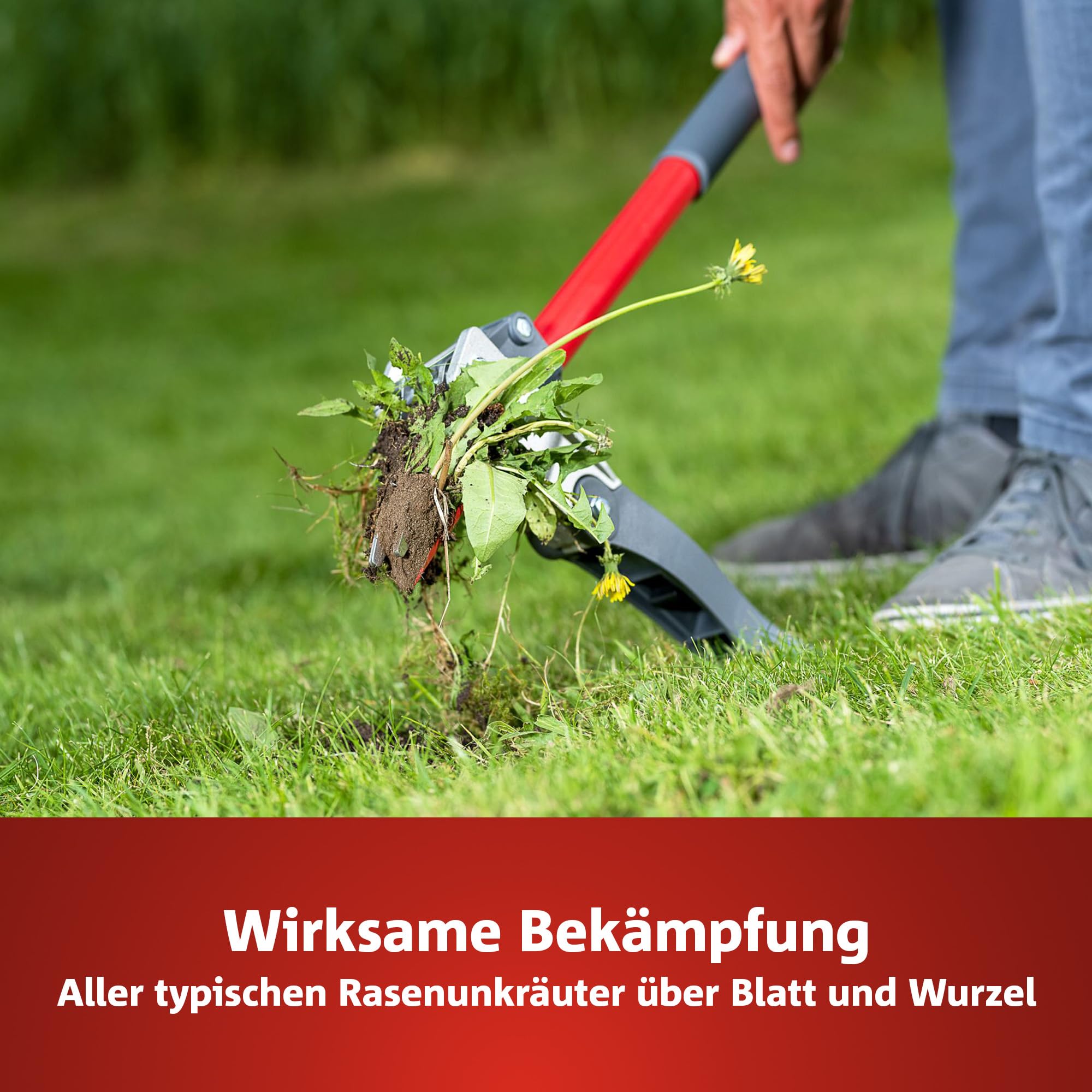 wolf-garten-natura-bio-sq-120-rasend-nger-unkraut-2-4-kg image 3
