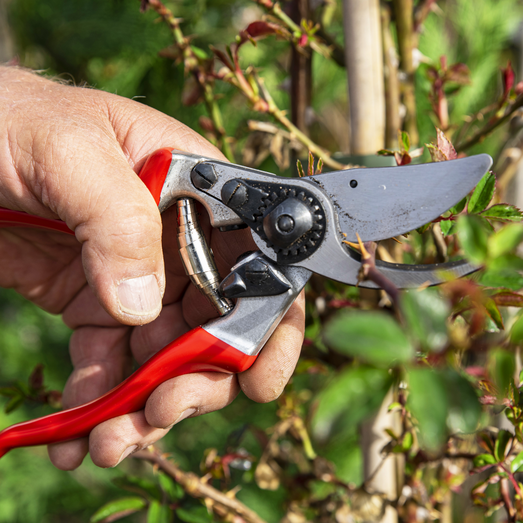 felco-9-einhand-gartenschere-linksh-nder-abgewinkelt image 2