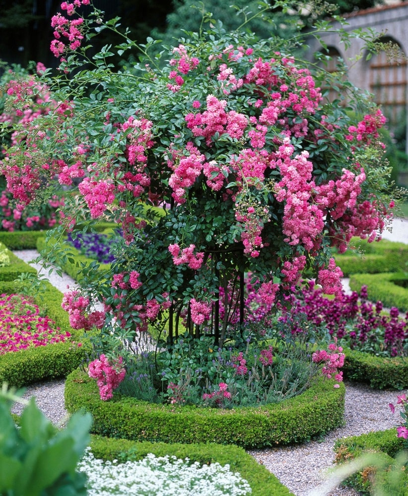 classic-garden-elements-jean-vibert-pflanzenst-tze-rund-schwarz-metall image 1