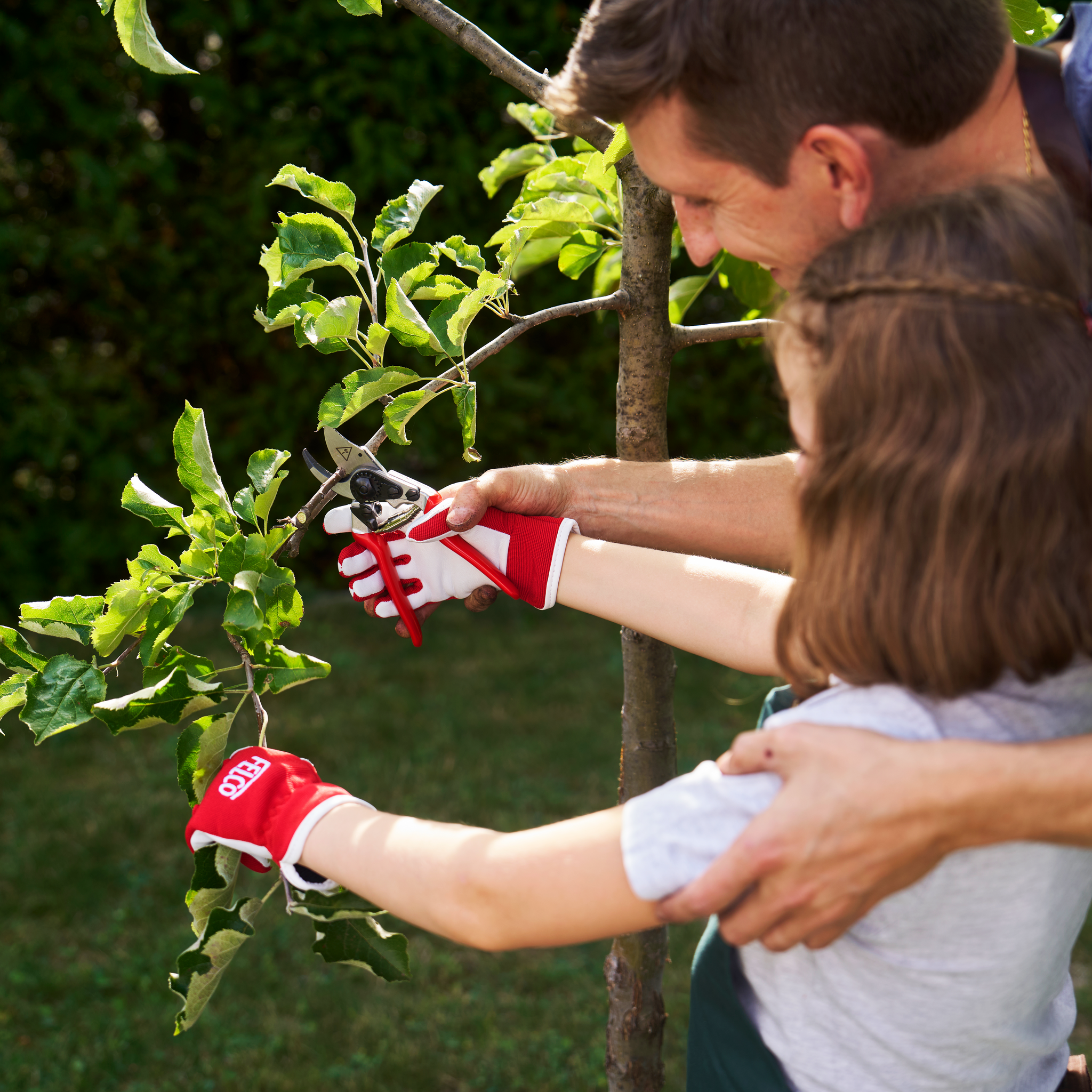 felco-14-kids-gartenschere-f-r-kinder-rechtsh-nder image 4