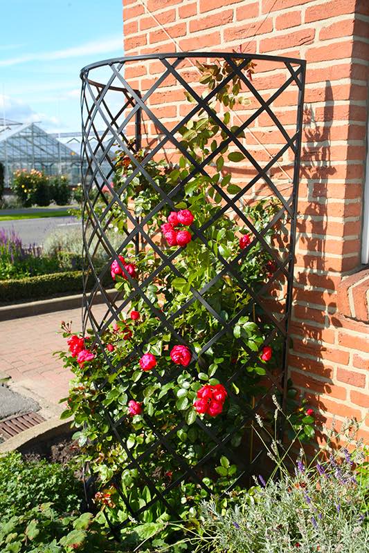 classic-garden-elements-exedra-wandgitter-halbrund-schwarz image 4