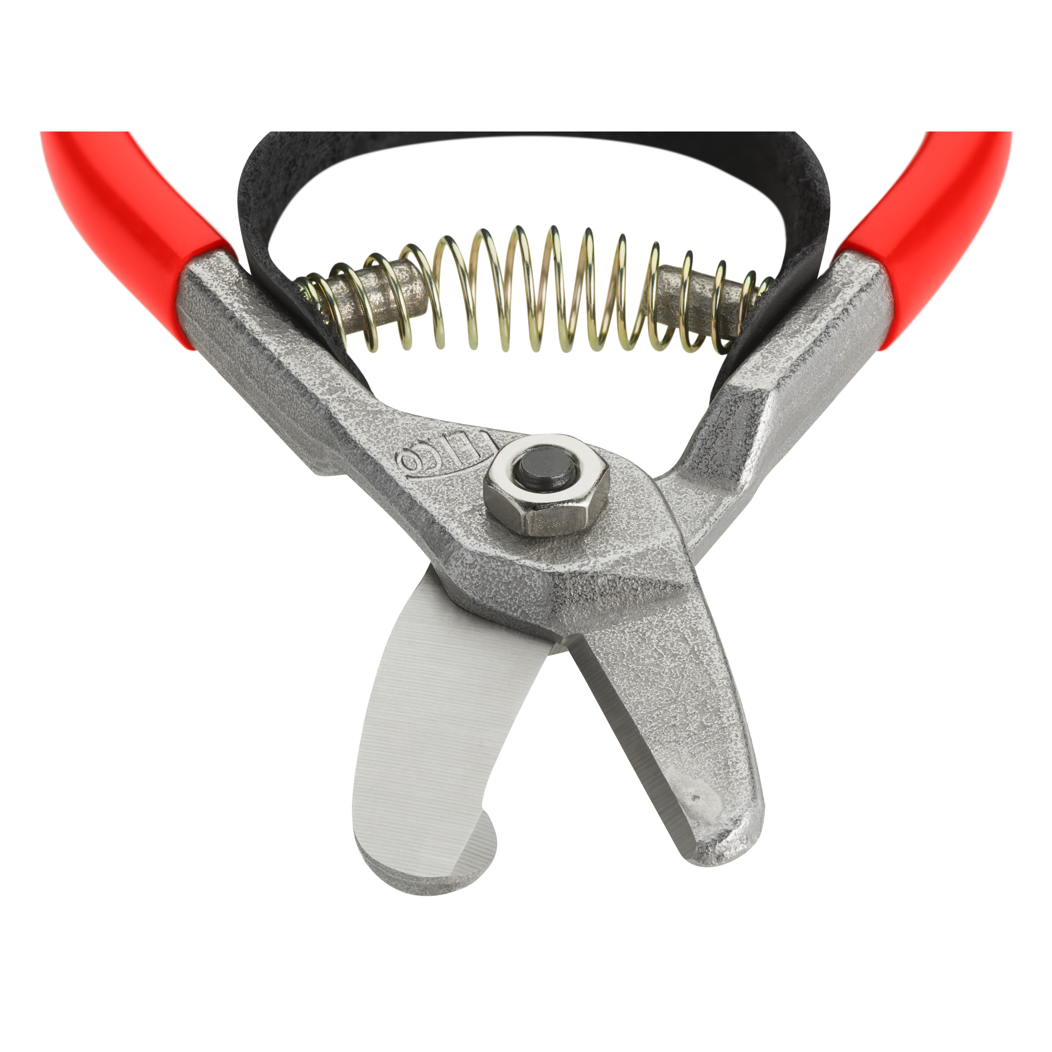 felco-331-avocado-schere-ernteschere-bypass-karbonstahl image 2