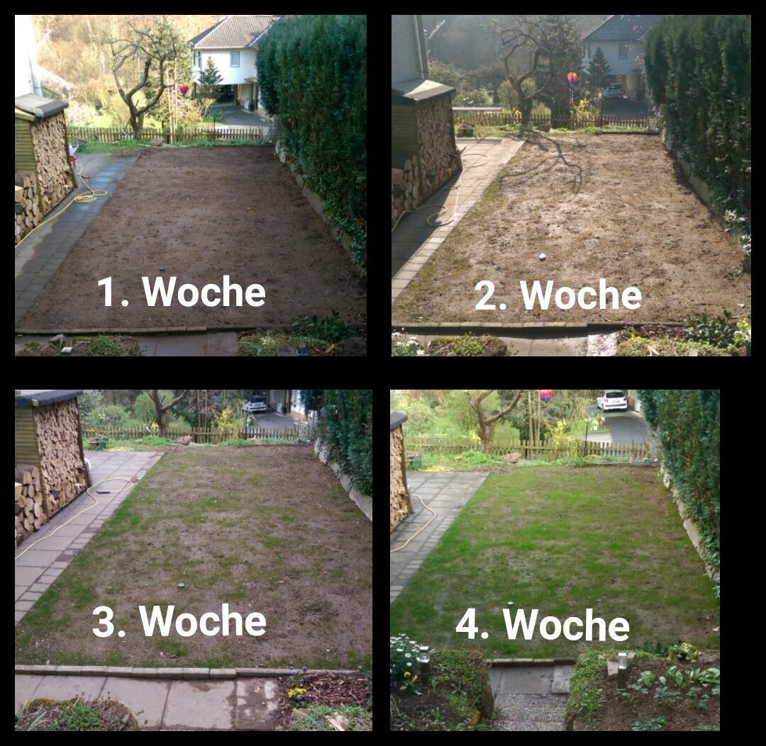 Gute Wirkung