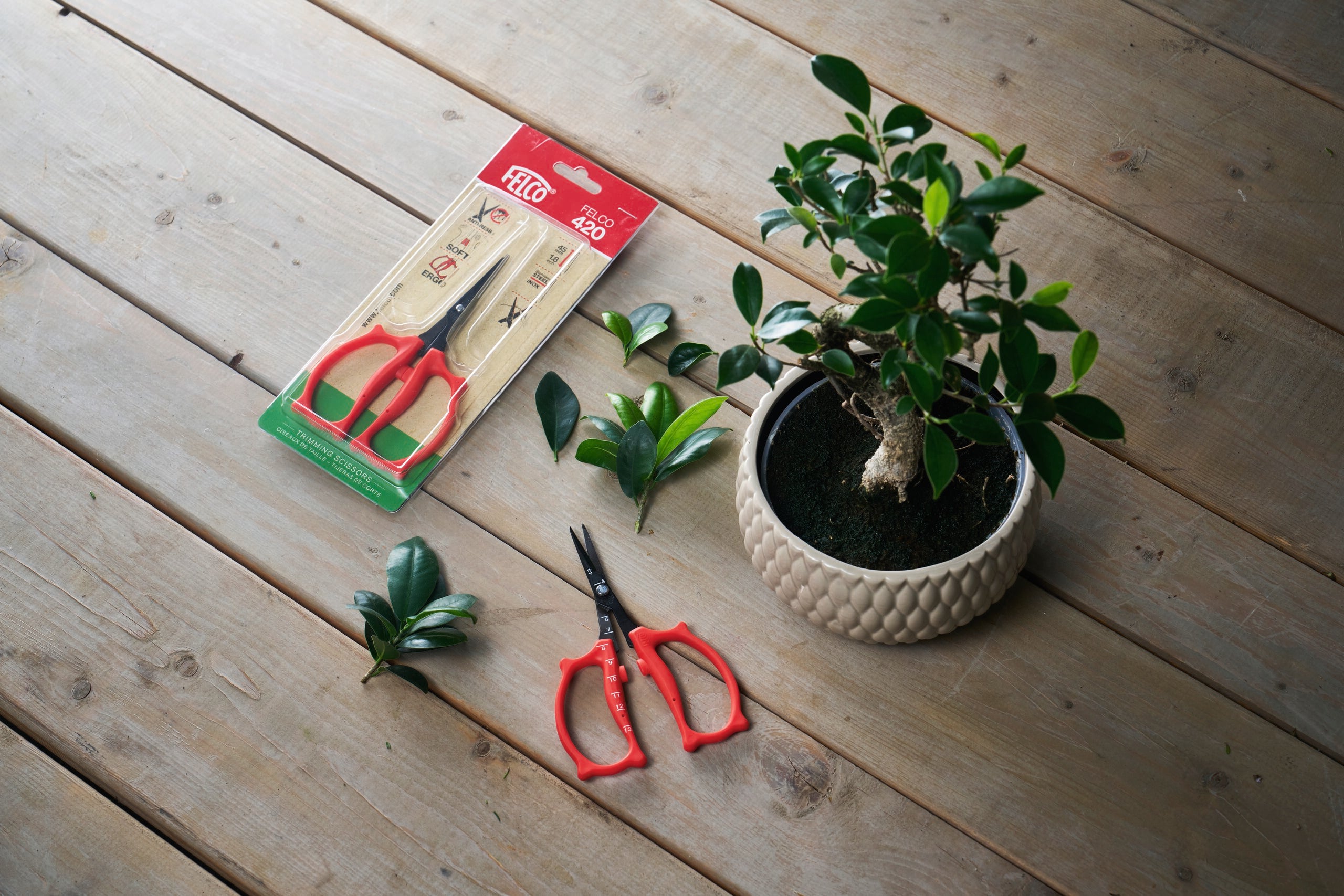 felco-botaniker-kit-1-gartenscheren-set-4-teilig image 3