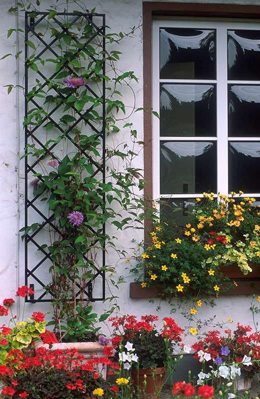 classic-garden-elements-rankgitter-wei-metall-duo-180-cm image 6