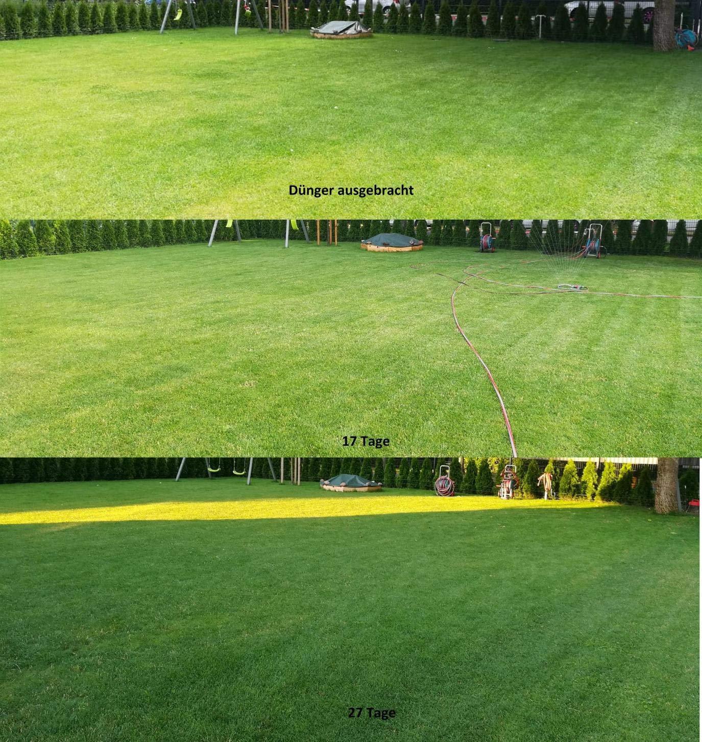 Schön grün