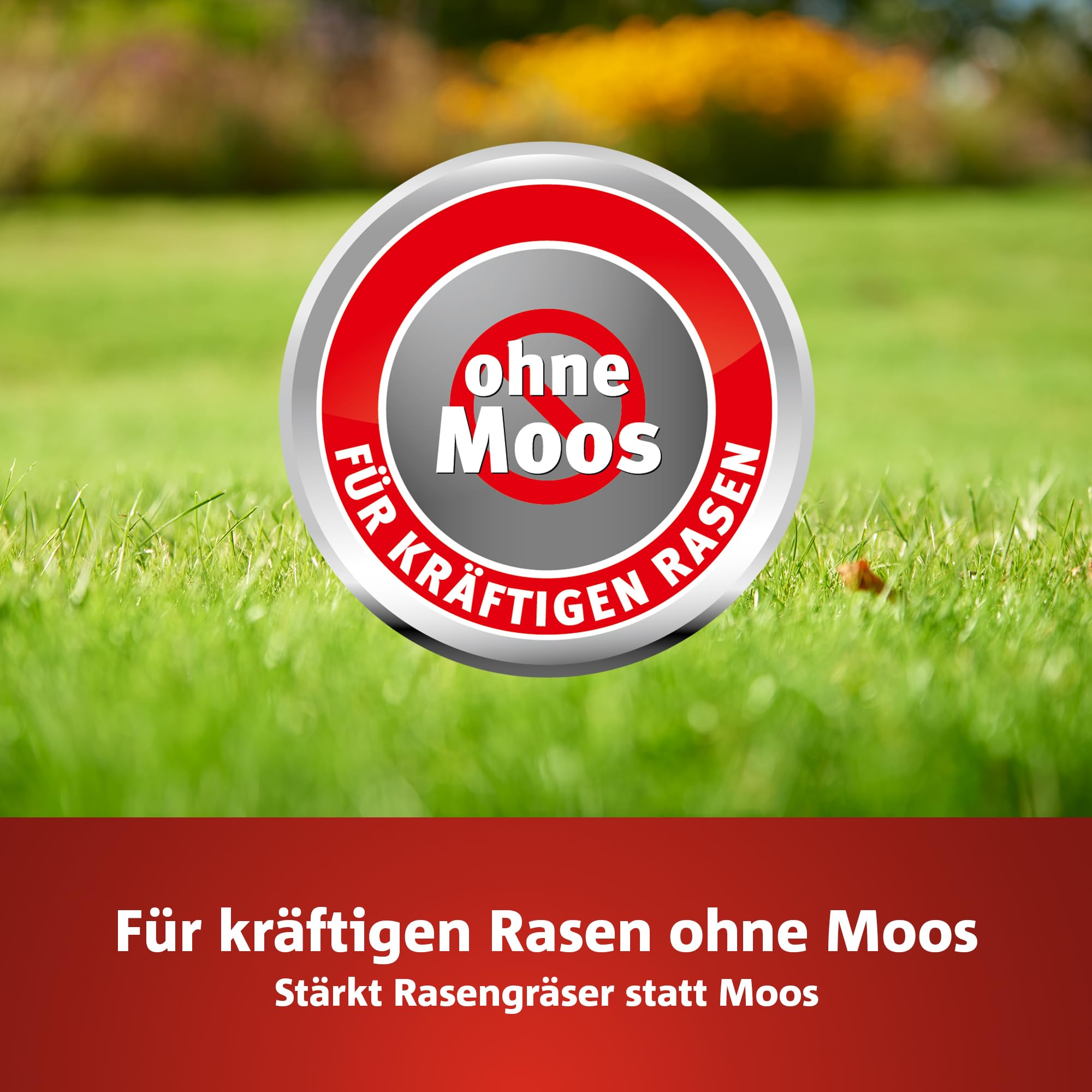 wolf-garten-natura-bio-l-pm-300-rasend-nger-eisen-7-5kg image 2