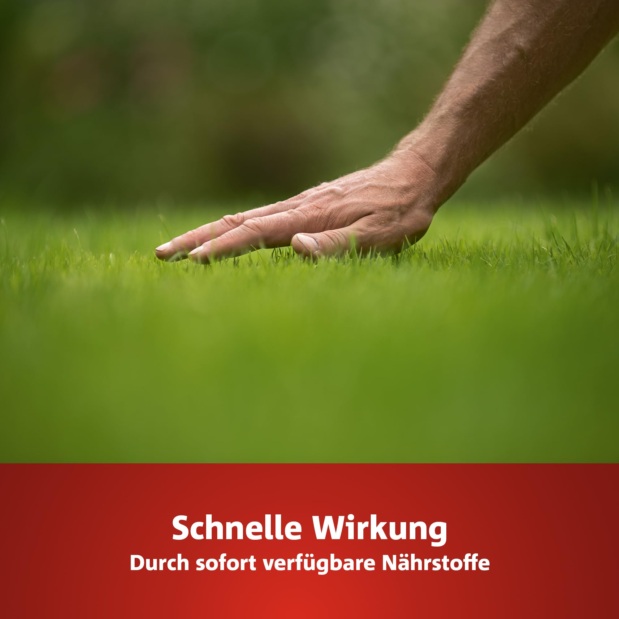 wolf-garten-natura-bio-l-pm-300-rasend-nger-eisen-7-5kg image 3
