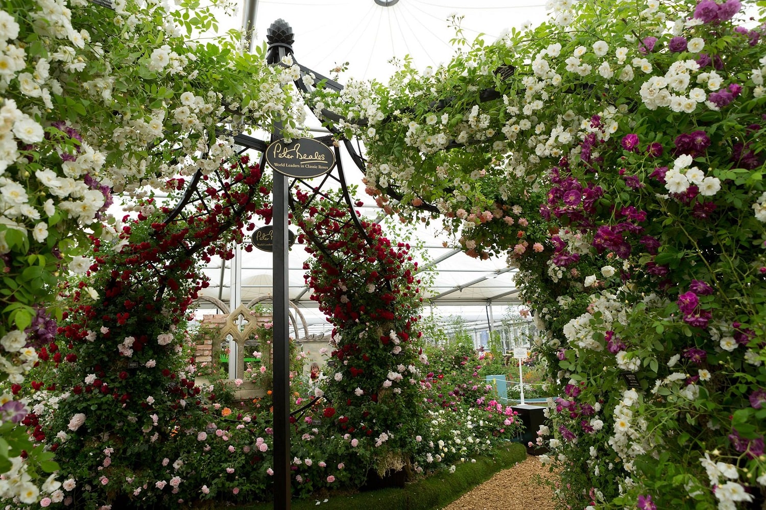 classic-garden-elements-pavillon-lyme-park-metall-580-cm image 6