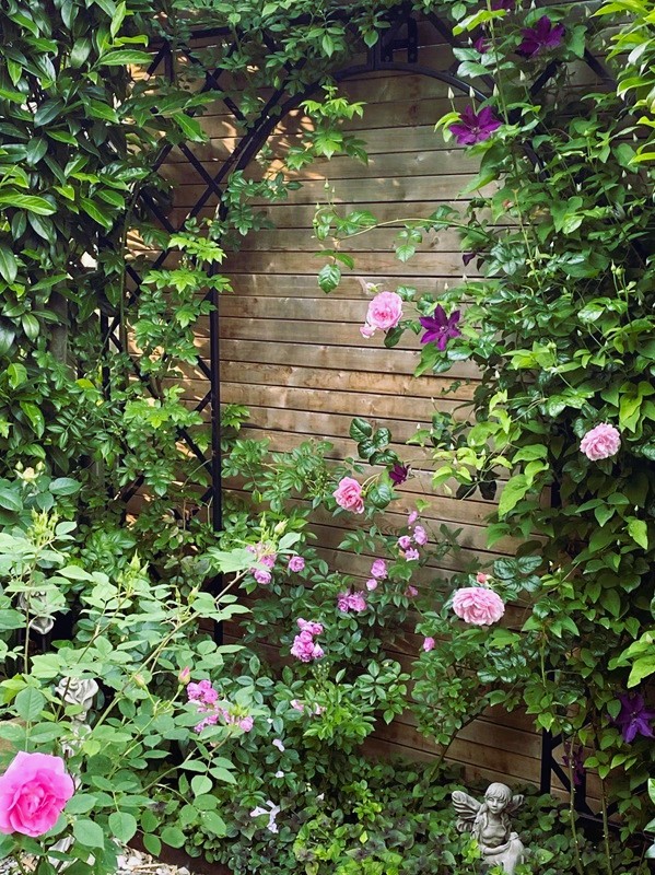 classic-garden-elements-treillage-rankgitter-schwarz image 3