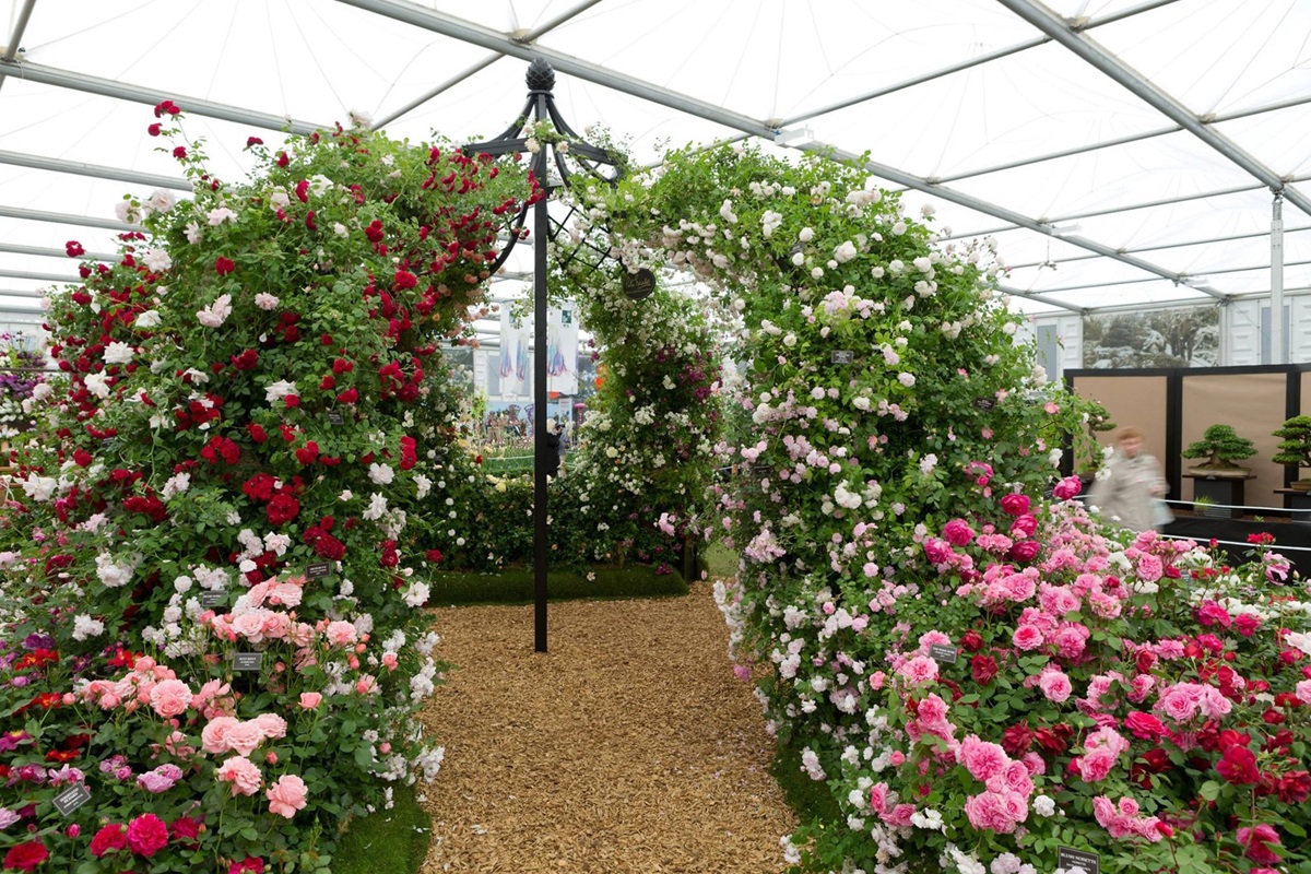 classic-garden-elements-pavillon-lyme-park-metall-580-cm image 8