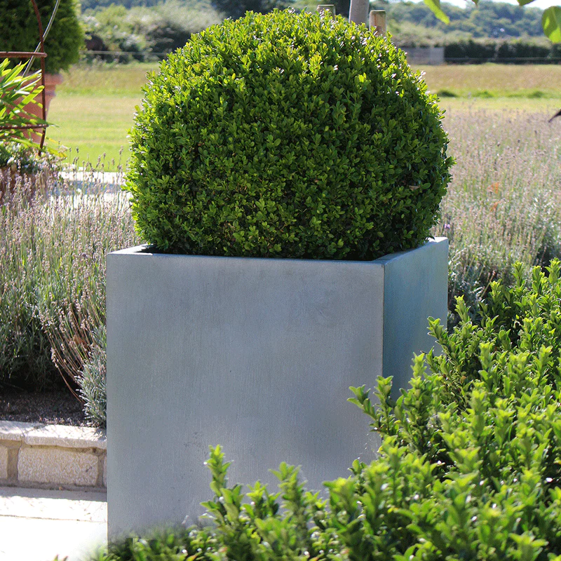 classic-garden-elements-qube-pflanzk-bel-zink-grau image 4