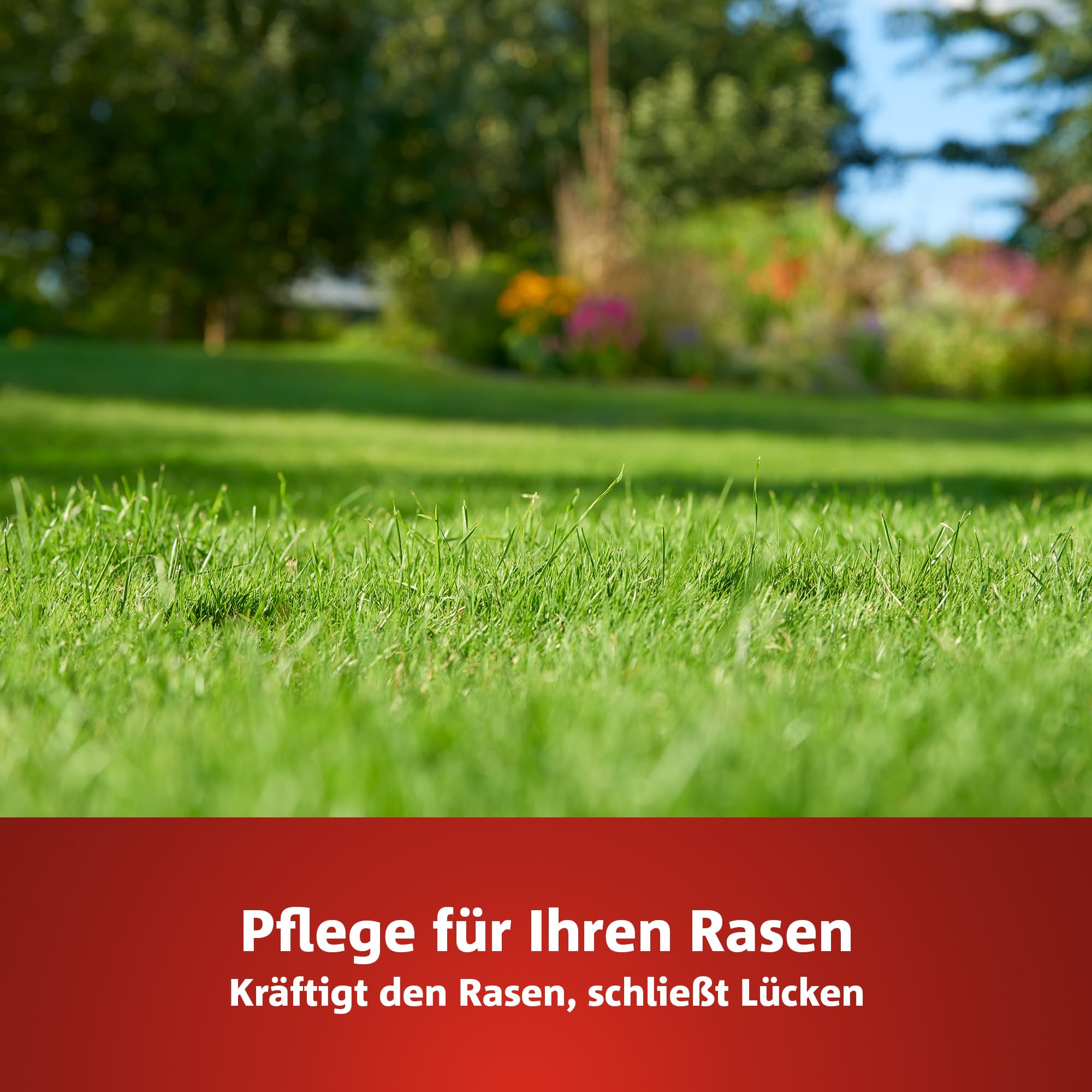 wolf-garten-natura-bio-sq-120-rasend-nger-unkraut-2-4-kg image 4