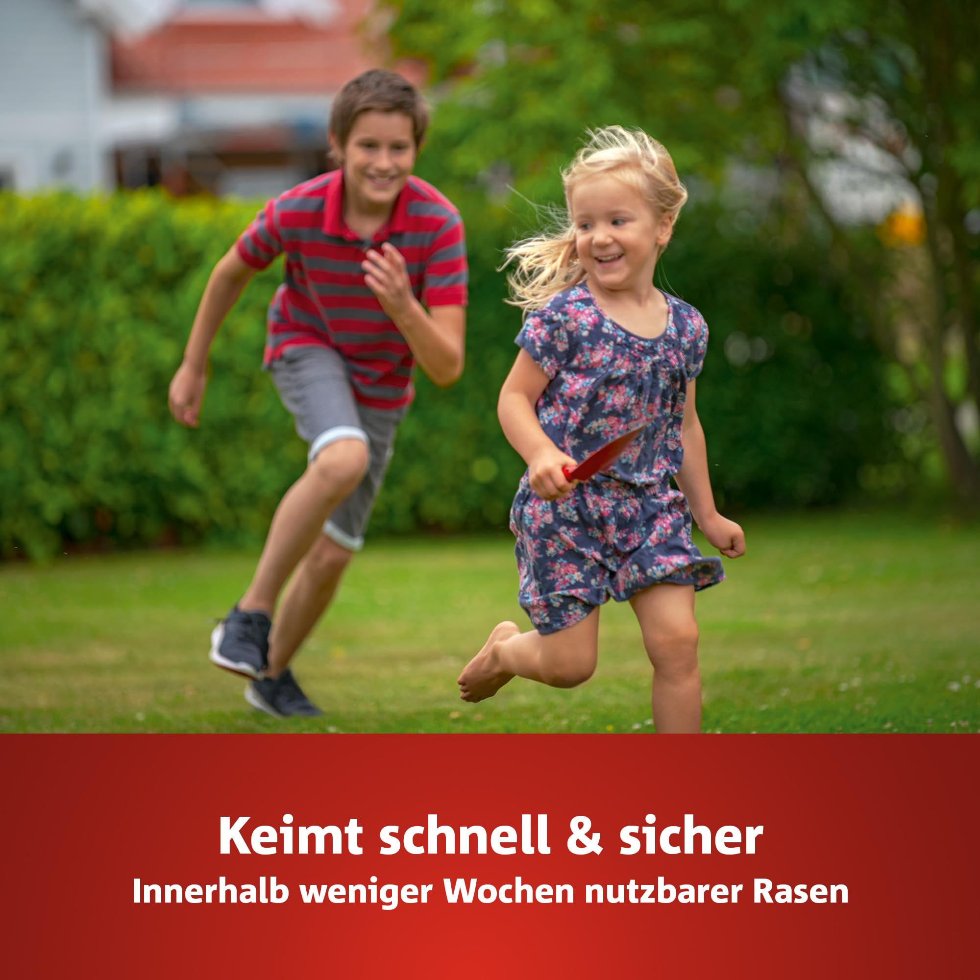 wolf-garten-natura-bio-sportrasen-lg-250-rasensamen-5-kg image 4