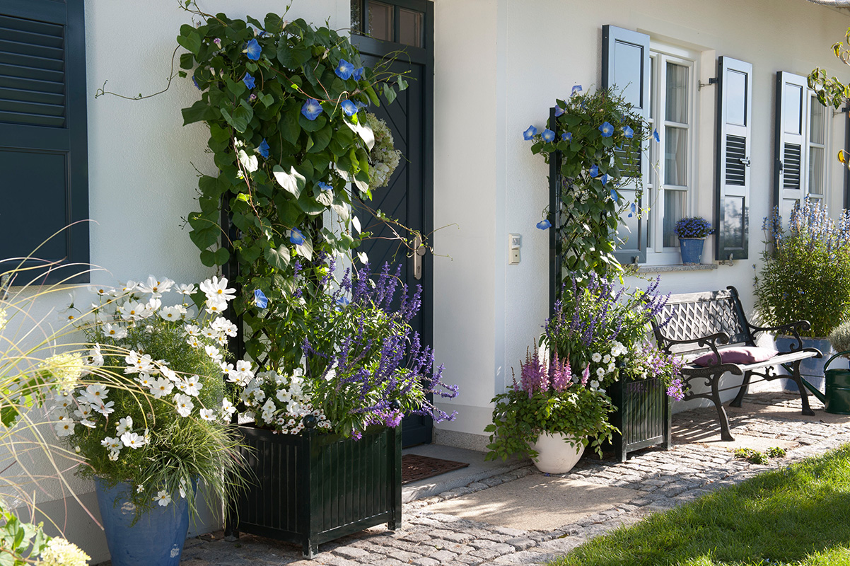 classic-garden-elements-phanas-pflanzk-bel-wei-rankgitter image 2
