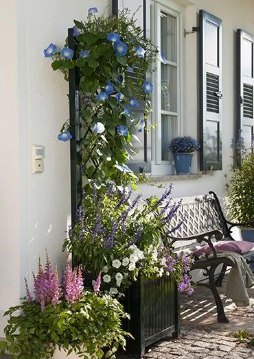 classic-garden-elements-phanas-versailler-pflanzk-bel-mit-spalier image 1