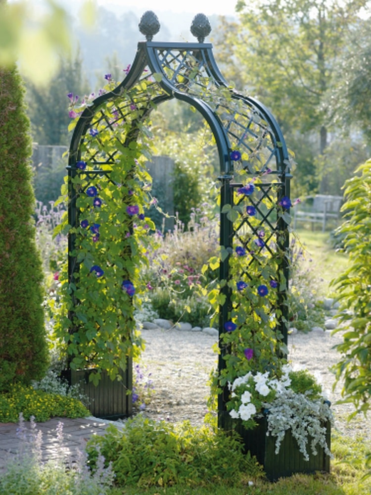 classic-garden-elements-brighton-rosenbogen-mit-versailler-k-beln image 1