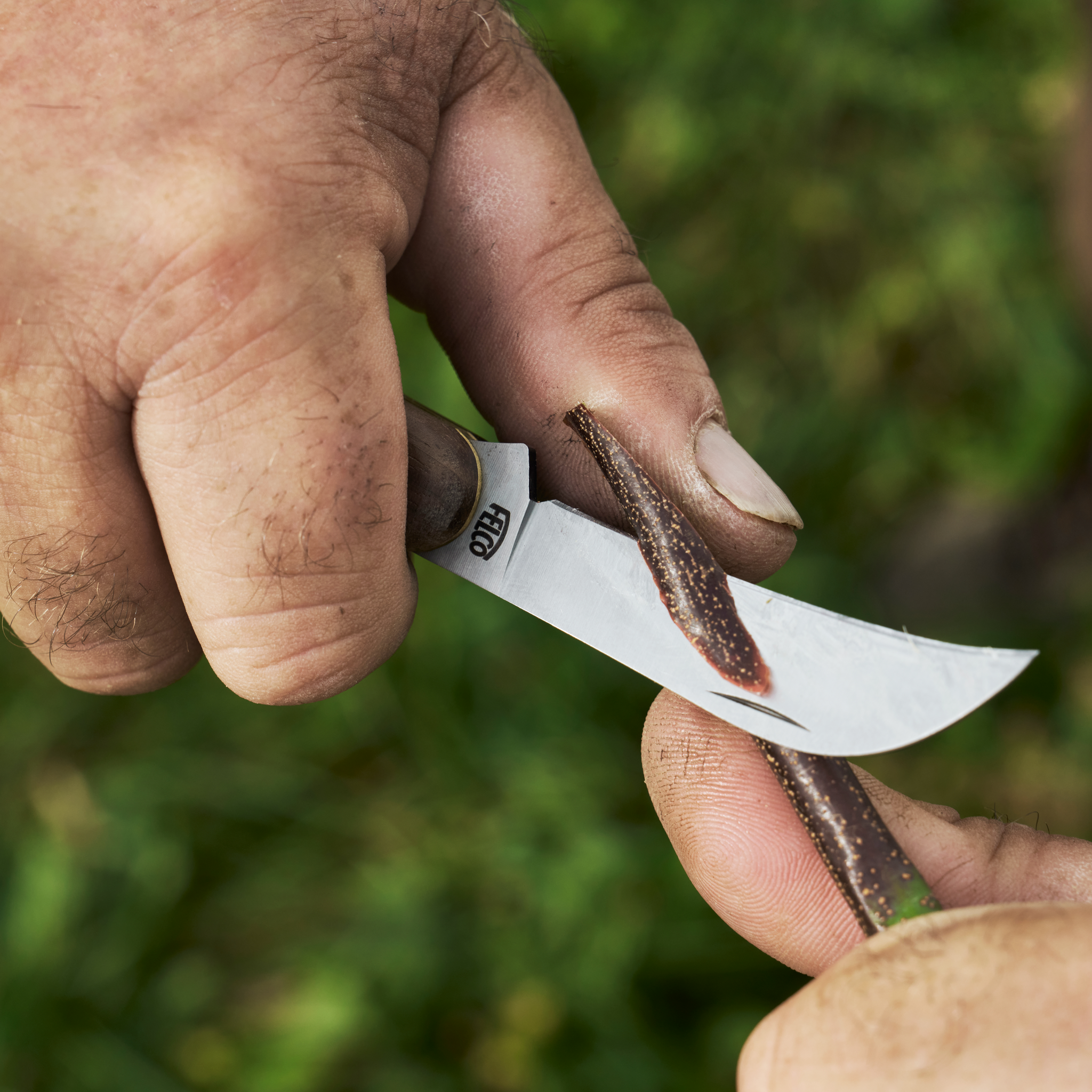 felco-511-pfropfmesser-gartenmesser-veredelung image 3