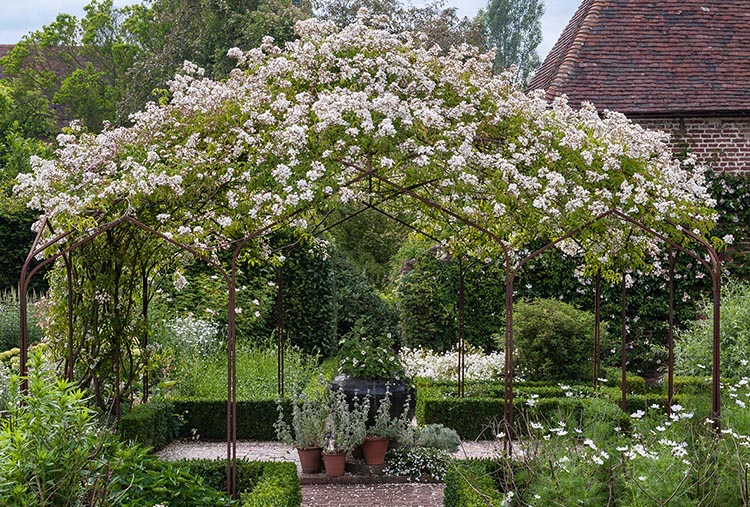 classic-garden-elements-sissinghurst-pavillon-metall-5x5-m image 8