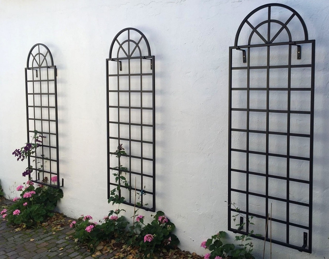 classic-garden-elements-orangerie-spalier-wandgitter-schwarz-metall image 4
