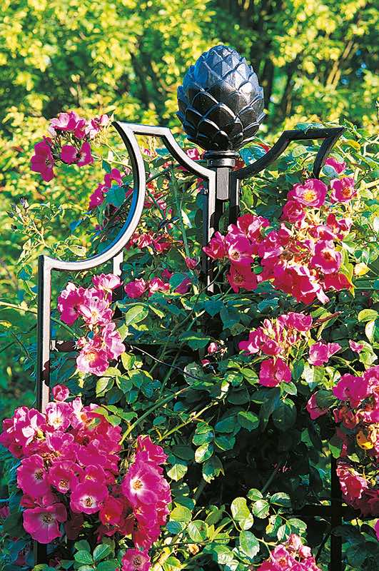 classic-garden-elements-rosenobelisk-ii-rankhilfe-wei-210cm image 3