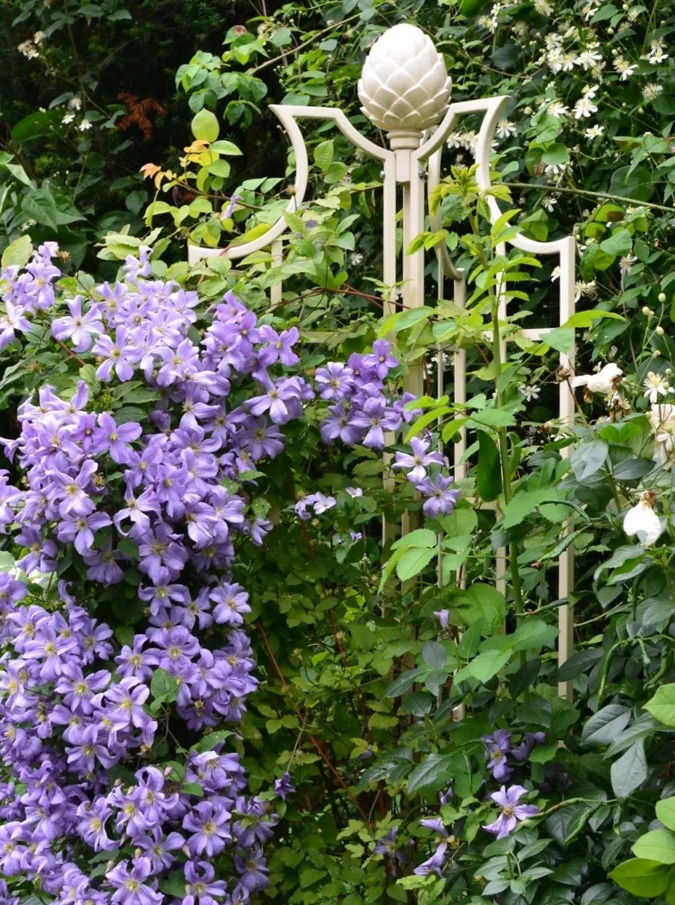 classic-garden-elements-rosenobelisk-ii-rankhilfe-wei-210cm image 1