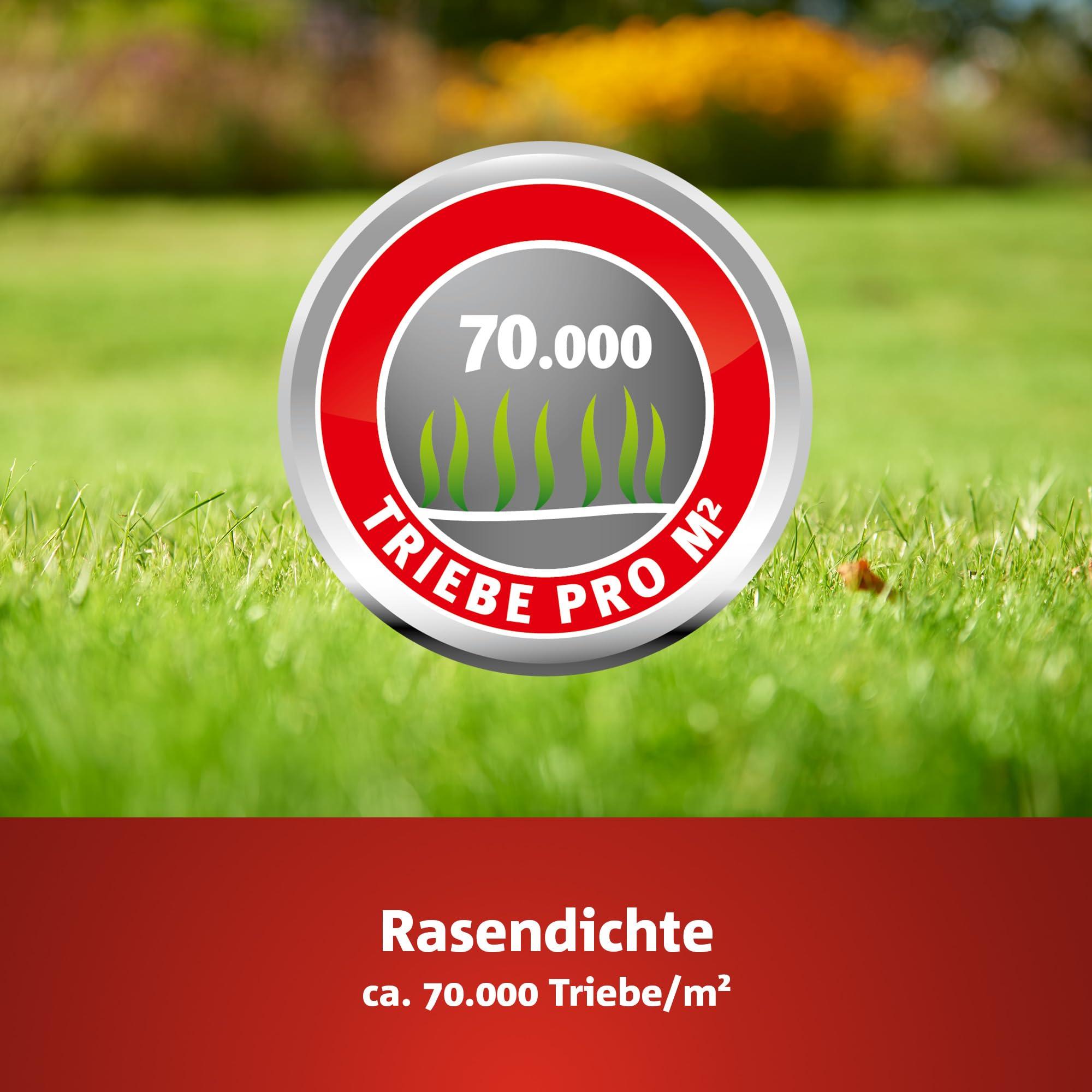 wolf-garten-natura-bio-trocken-rasen-premium-l-tp-100-rasensamen-3-kg image 3