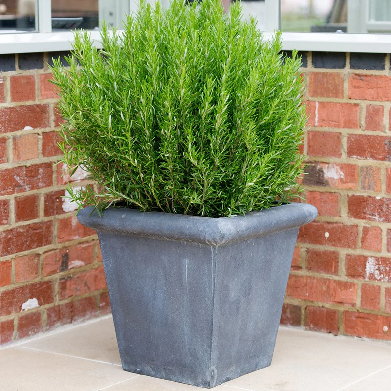 classic-garden-elements-pflanzk-bel-classic-zinkk-bel-eckig-40-cm image 3