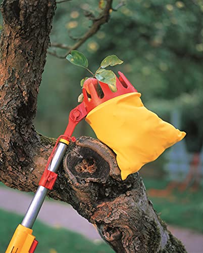wolf-garten-multi-star-rg-m-obstpfl-cker-vario-rot-ohne-stiel image 5