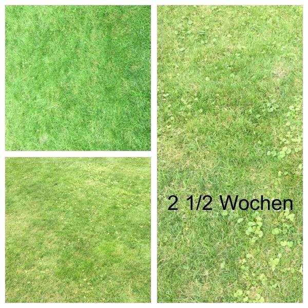 Dauert ein bisschen