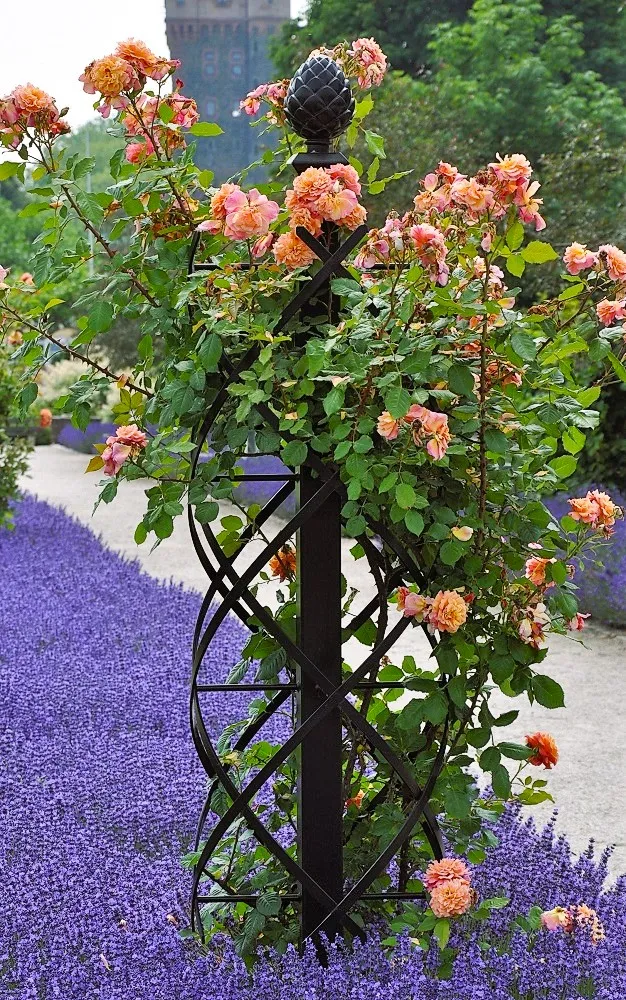 classic-garden-elements-charleston-rosens-ule-schwarz-230cm image 1