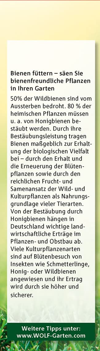 wolf-garten-natura-bio-bienenweide-n-bw-75-blumensamen image 5