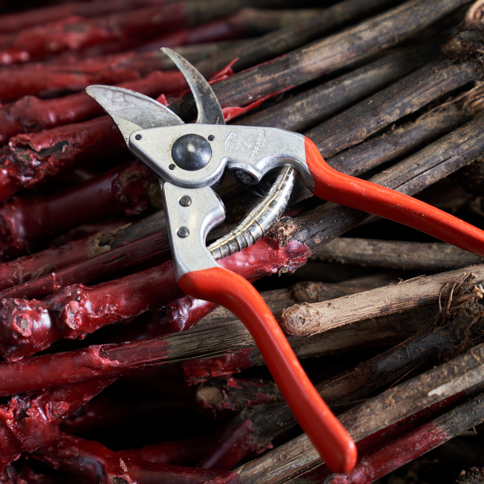 felco-14-gartenschere-einhand-f-r-kleine-h-nde-rechts image 2