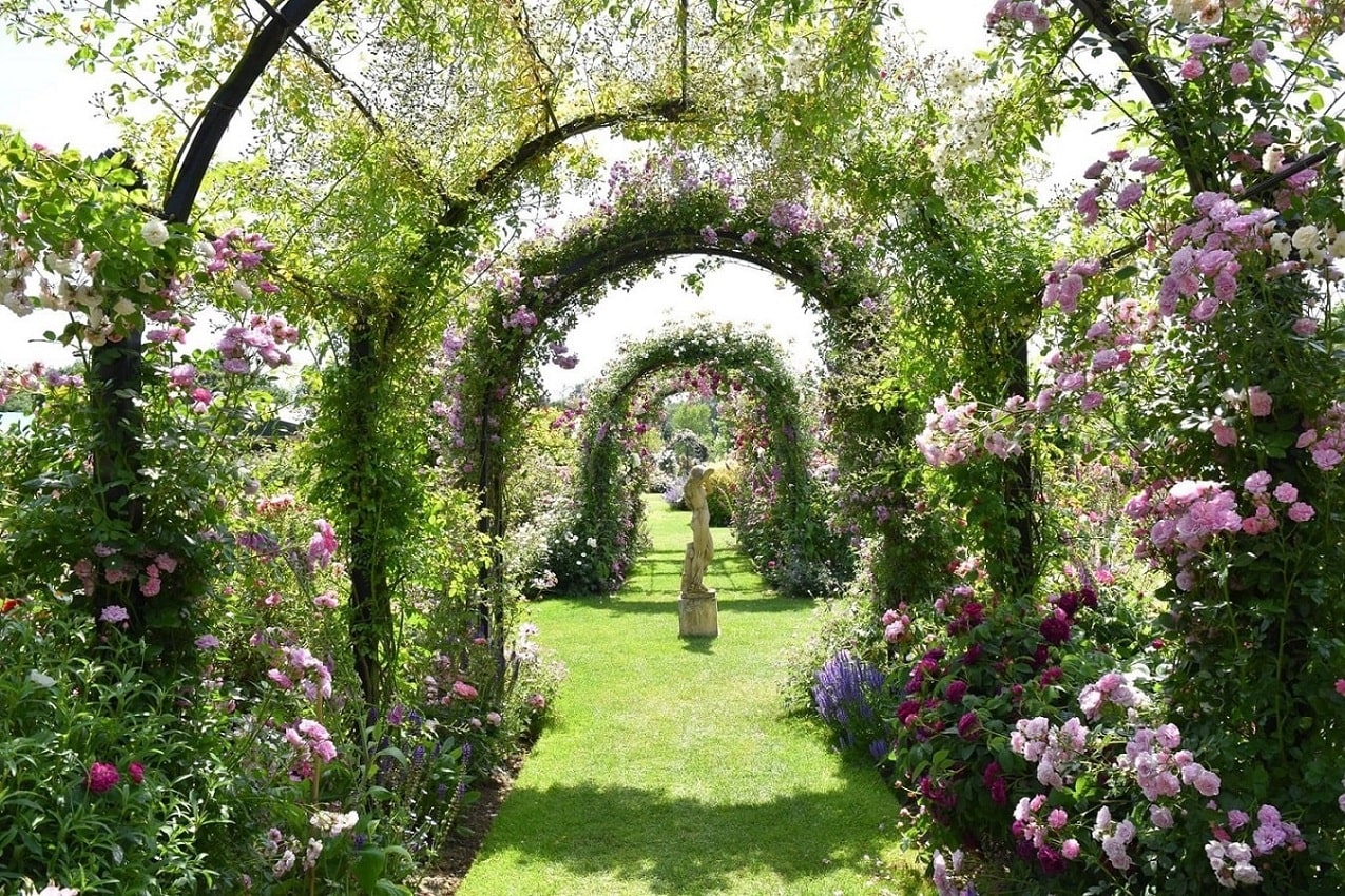 classic-garden-elements-st-albans-laubengang-metall-schwarz image 8