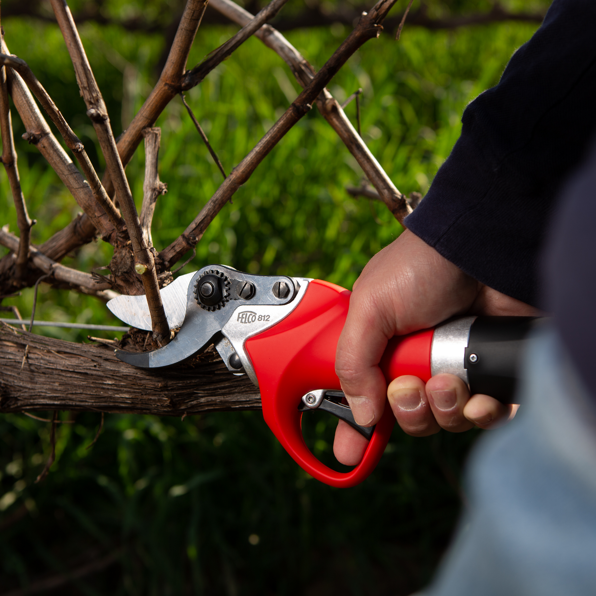 felco-812-elektrische-gartenschere-f-r-weinberg-und-baumschnitt image 2